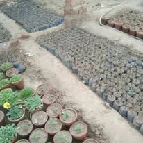 Green Seekers Activity